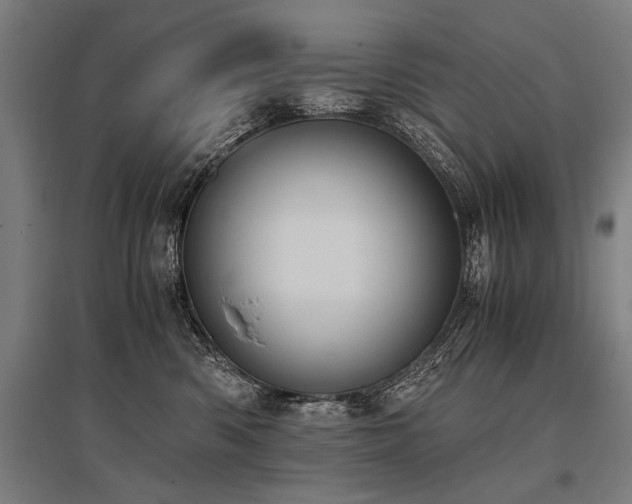 X0000096160426200801181229