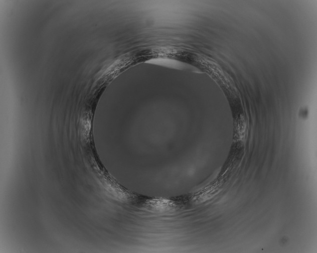 X0000096160427200801181229