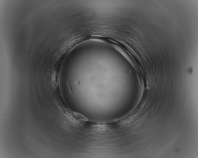 X0000096160428200801181228