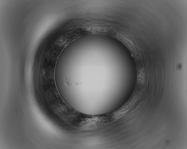 X0000096160430200801181228