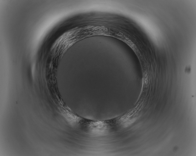 X0000096160431200801181228