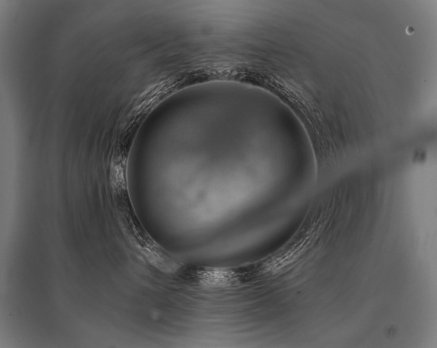 X0000096160432200801181228