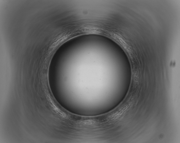 X0000096160433200801181228