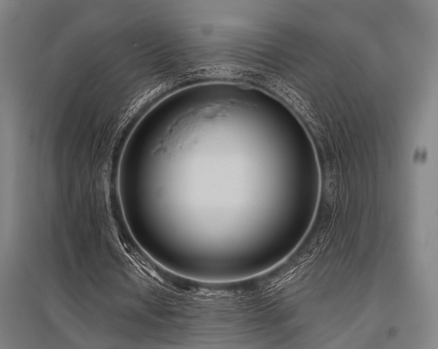 X0000096160434200801181228