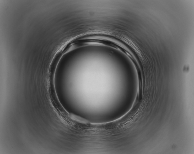 X0000096160436200801181228