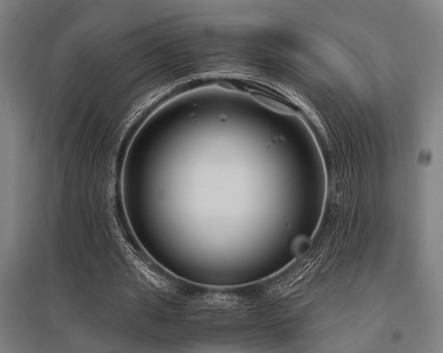 X0000096160437200801181228