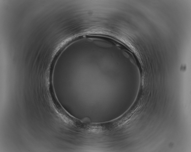 X0000096160438200801181228