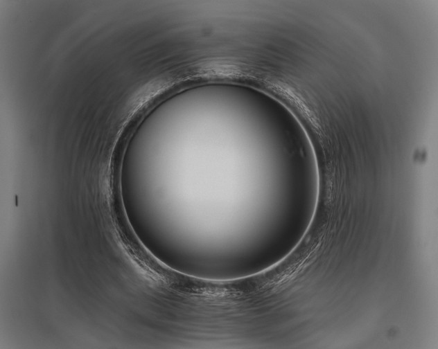 X0000096160439200801181228