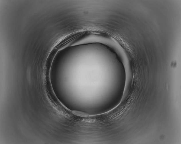 X0000096160440200801181228