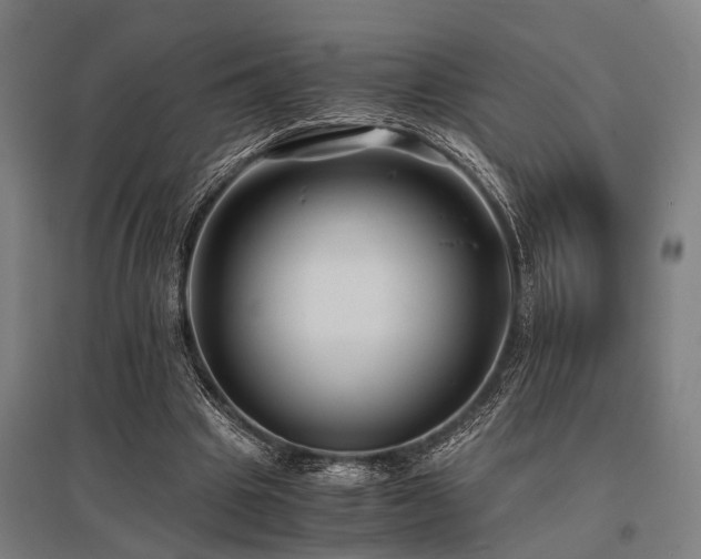 X0000096160441200801181228
