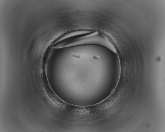 X0000096160443200801181228