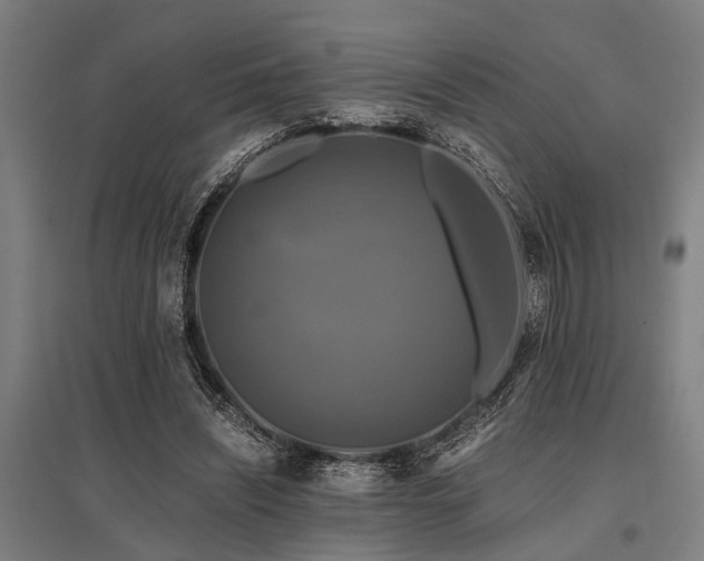 X0000096160444200801181228