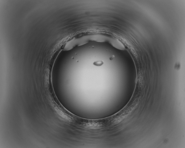 X0000096160445200801181228