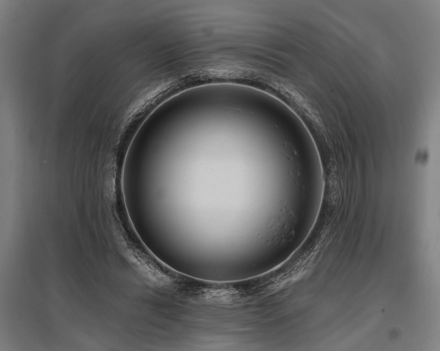 X0000096160446200801181228