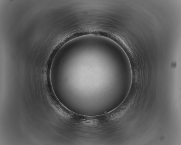 X0000096160447200801181228