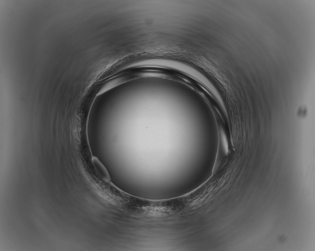 X0000096160448200801181228
