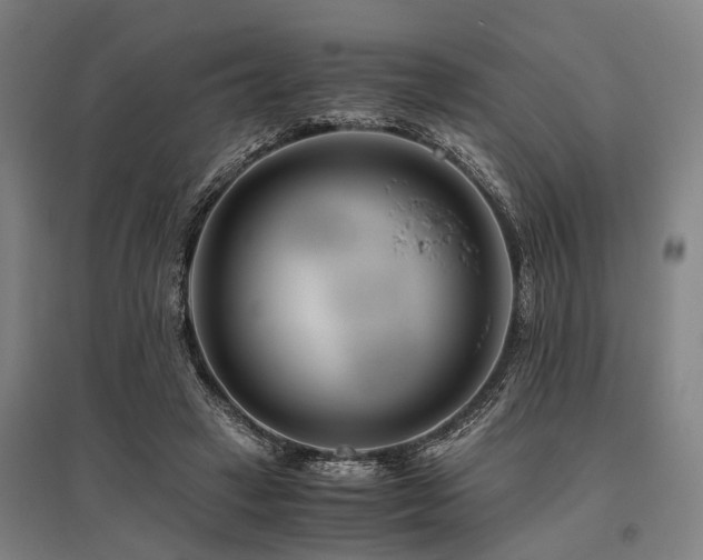 X0000096160449200801181228