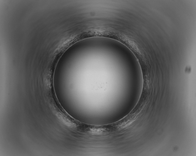 X0000096160450200801181228
