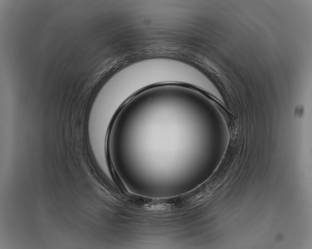 X0000096160452200801181228