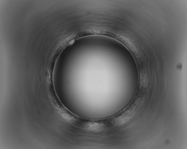 X0000096160453200801181228