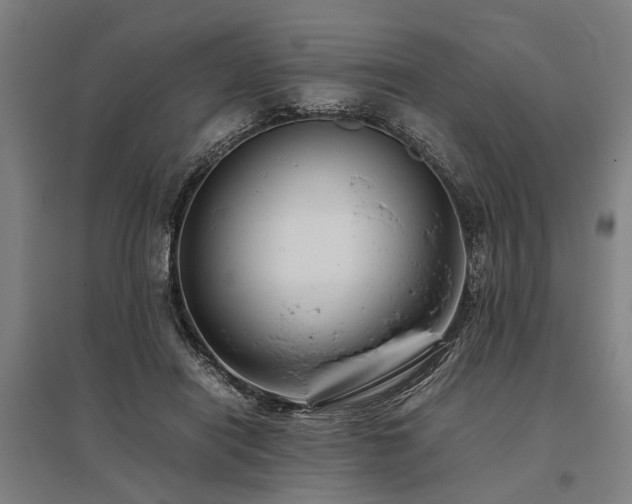 X0000096160454200801181228