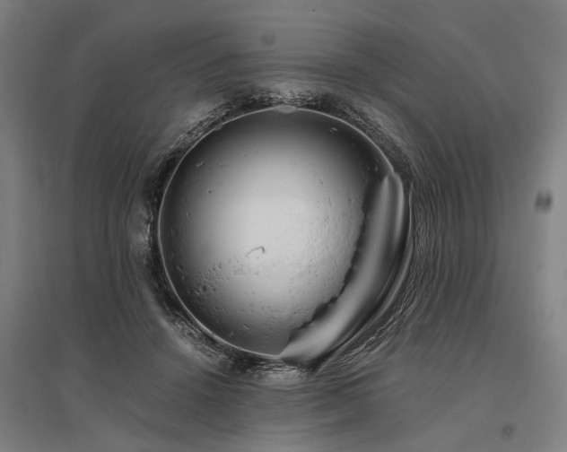 X0000096160456200801181228