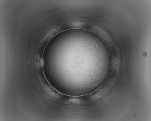 X0000096160457200801181228
