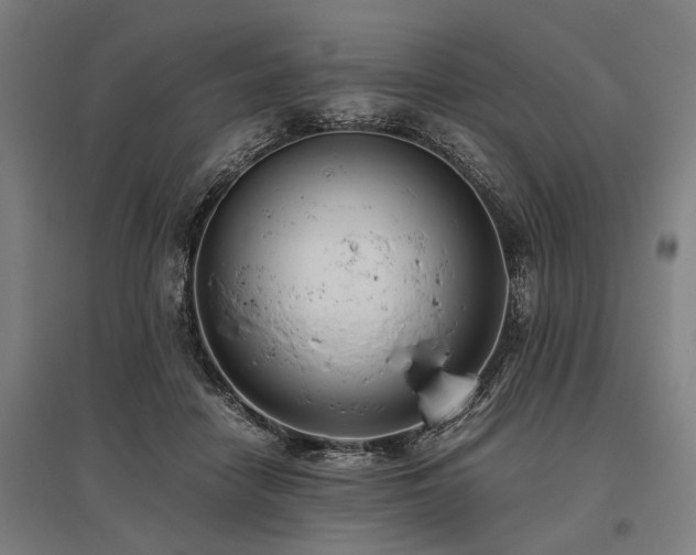 X0000096160458200801181228