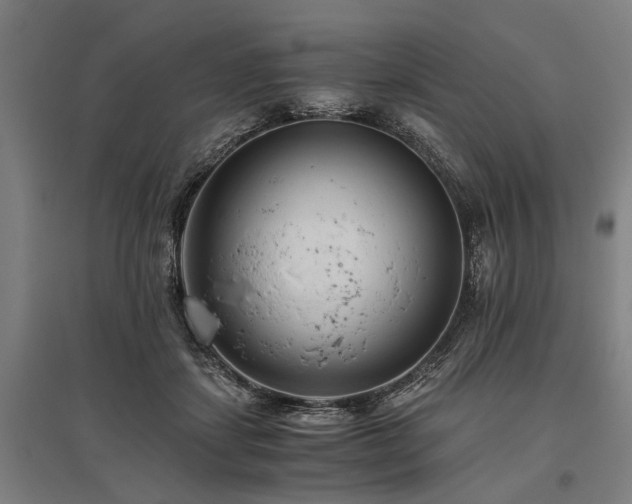 X0000096160459200801181228