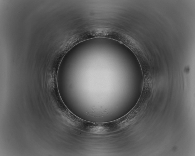 X0000096160460200801181228