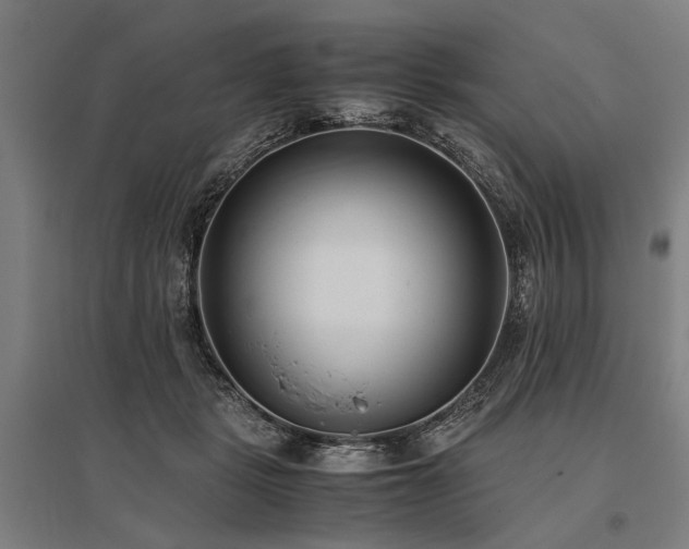 X0000096160461200801181228