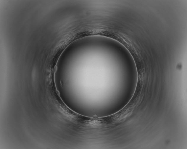 X0000096160462200801181228