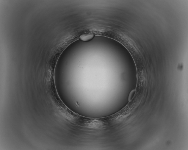 X0000096160463200801181228