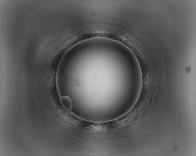 X0000096160464200801181228