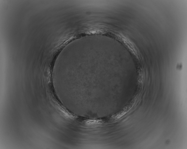X0000096160465200801181228