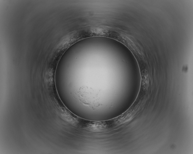 X0000096160466200801181228
