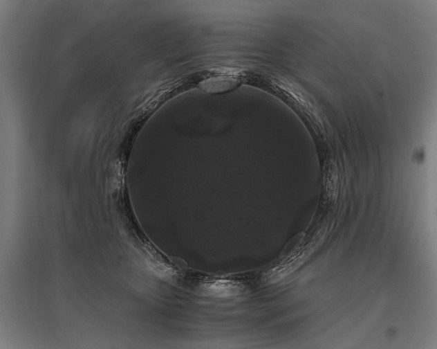 X0000096160467200801181228