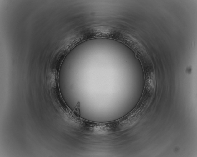 X0000096160468200801181228