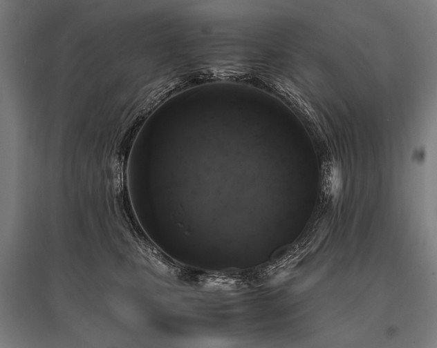 X0000096160471200801181228