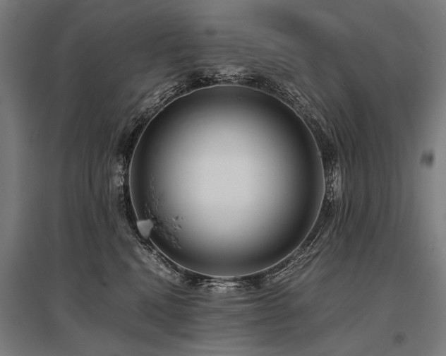 X0000096160472200801181228