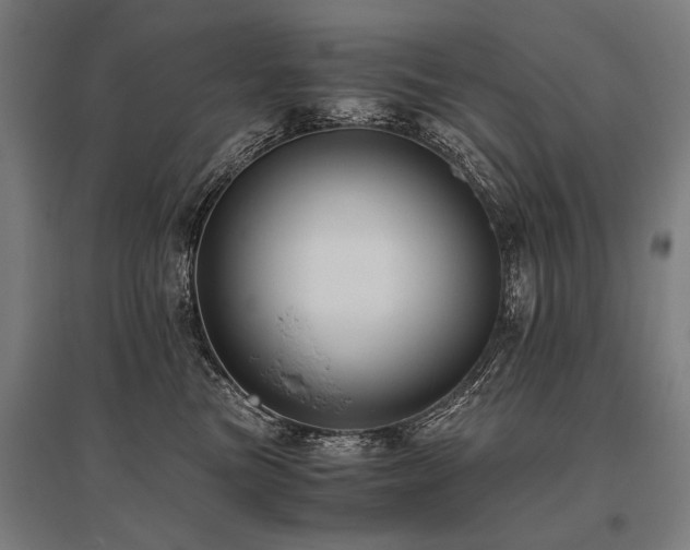 X0000096160473200801181228