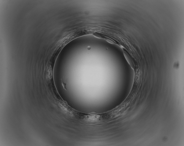 X0000096160474200801181228