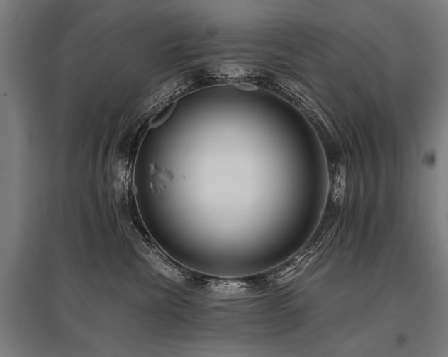 X0000096160476200801181228