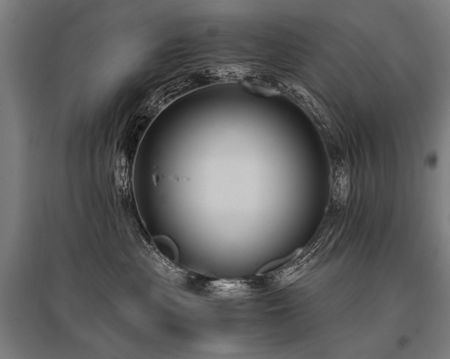 X0000096160477200801181228