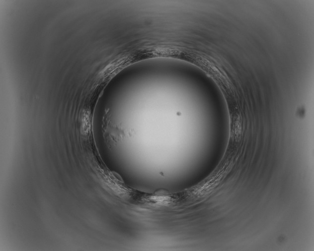 X0000096160478200801181228