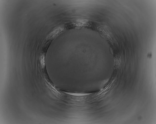 X0000096160479200801181228