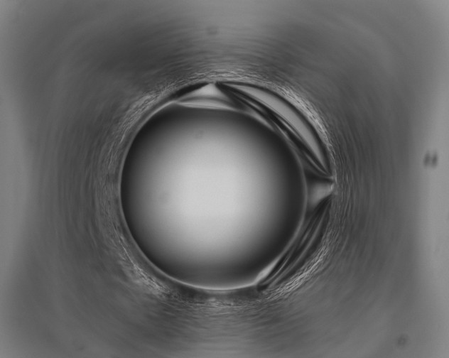 X0000096160481200801181228