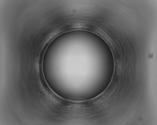 X0000096160482200801181228