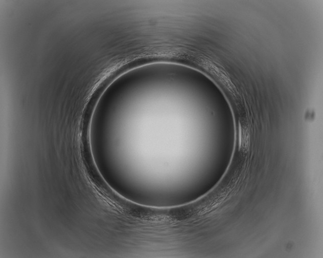 X0000096160483200801181228
