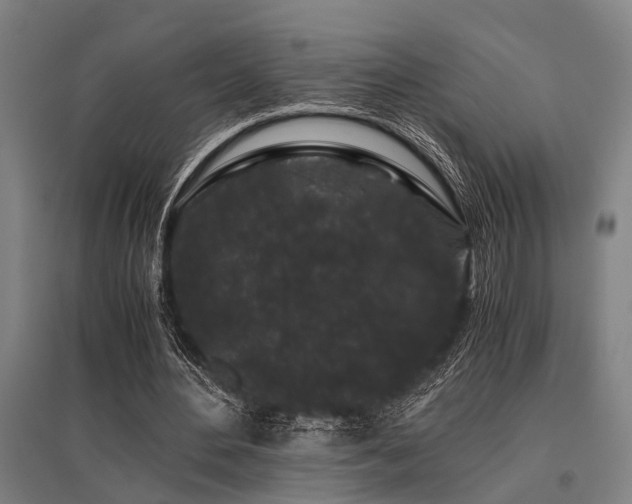 X0000096160484200801181228